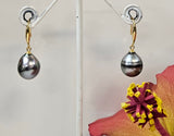 High Grade Authentic Tahitian Pearl Earrings