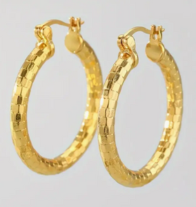 Delicate Hoop Earrings