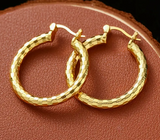 Delicate Hoop Earrings